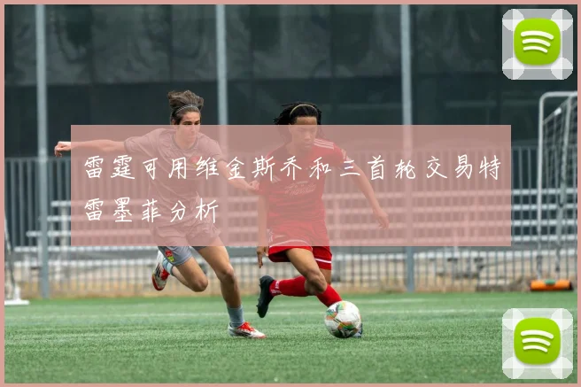 雷霆可用维金斯乔和三首轮交易特雷墨菲分析