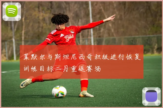莱默尔与斯坦尼西奇积极进行恢复训练目标二月重返赛场