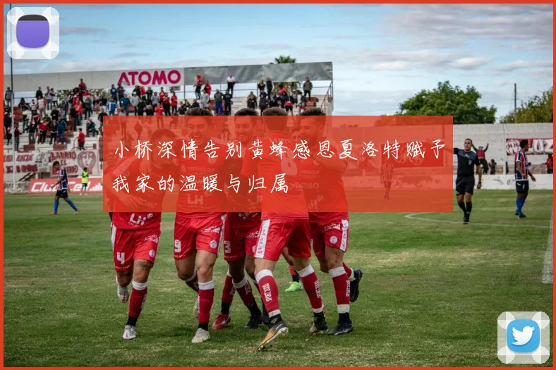 小桥深情告别黄蜂感恩夏洛特赋予我家的温暖与归属