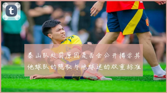 泰山队处罚原因是否会公开揭示其他球队的隐秘与地球迷的双重标准